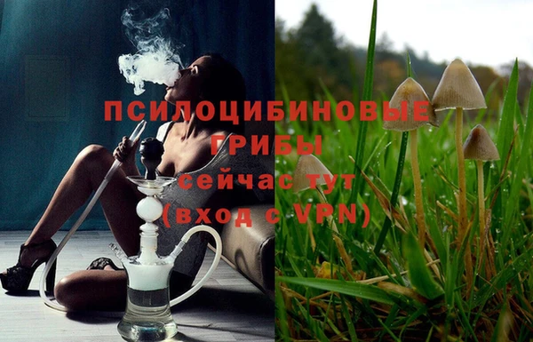mdpv Алексин