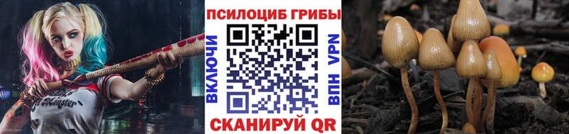 купить наркотики сайты  Курлово  Галлюциногенные грибы мухоморы 
